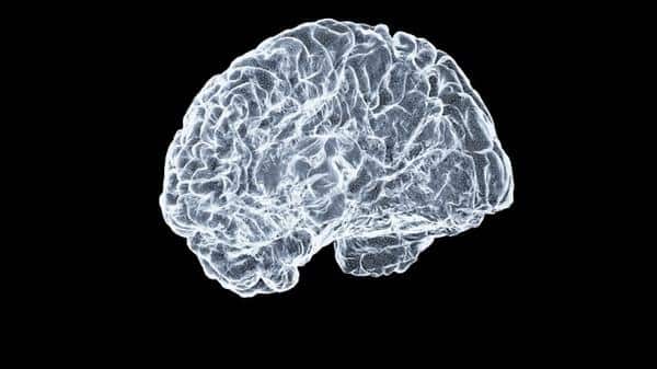 Brain Inspired AI